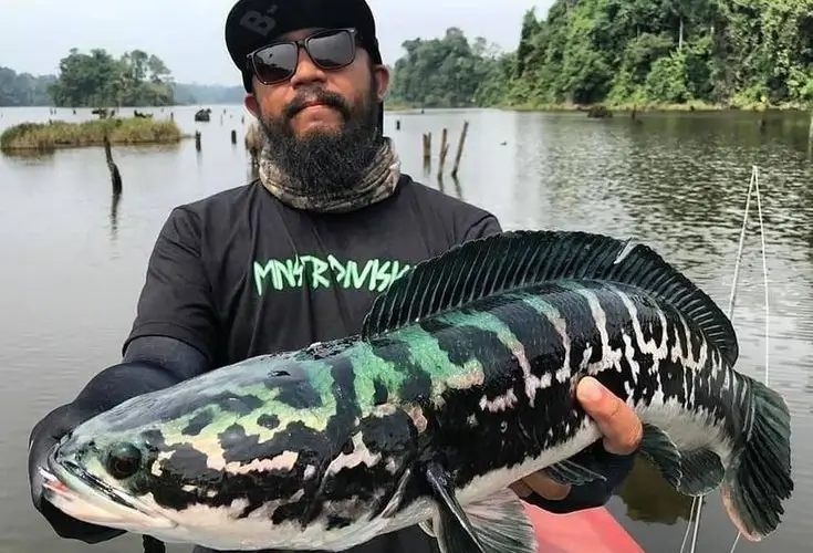 Specialized Marketing